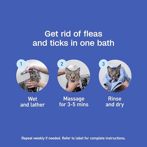 ADAMS Plus Flea & Tick Foaming Shampoo & Wash for Cats & Kittens, Flea Shampoo to Treat Flea Infestations, Kills Ticks, Fleas, Flea Eggs & Lice, Cleans and Conditions Coat, 10 Ounces