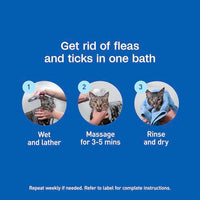 Thumbnail for ADAMS Plus Flea & Tick Foaming Shampoo & Wash for Cats & Kittens, Flea Shampoo to Treat Flea Infestations, Kills Ticks, Fleas, Flea Eggs & Lice, Cleans and Conditions Coat, 10 Ounces