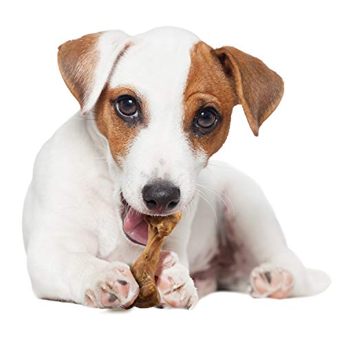 Nylabone Healthy Edibles Broth Bone Natural Dog Chews Long Lasting Treats Ham Flavor Small/Regular - Up to 25 Ibs. (4 Count)