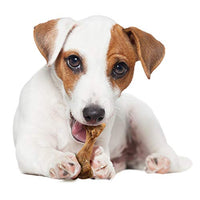 Thumbnail for Nylabone Healthy Edibles Broth Bone Natural Dog Chews Long Lasting Treats Ham Flavor Small/Regular - Up to 25 Ibs. (4 Count)