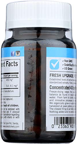 Eclectic Ginkgo 450 Mg Fduv with Glass, Blue, 50 Count