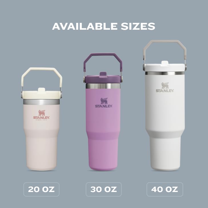 Stanley IceFlow 2.0 Flip Straw Tumbler with Handle 30 oz | Twist On Lid and Flip Up Straw | Leak Resistant Water Bottle | Insulated Stainless Steel | BPA-Free | Toast