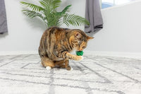 Thumbnail for SPOT Wool Pom Poms Cat Toy - Interactive Wool Balls Cat Toy with Catnip for Cats and Kittens to Bite, Swat and Chase - 1.5 inch, 4 pcs