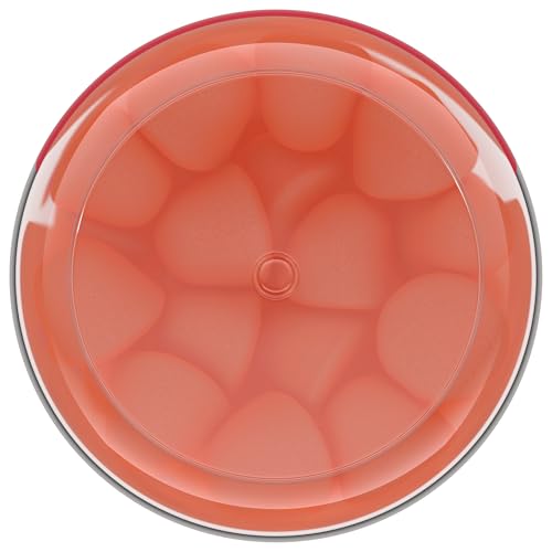 Centrum Morning Sickness Relief Gummies, Citrus Ginger Flavor - 60 Count, Up to 60 Day Supply