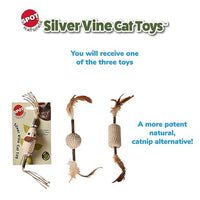Thumbnail for SPOT Naturals Silver Vine Cat Toy – Natural Interactive Enrichment for Cats, Stimulates Play and Reduces Stress, Durable and Safe, Perfect for Indoor Cats and Kittens, Assorted Styles, 1 Piece