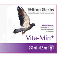 Thumbnail for Hilton Herbs 27082 Vita-Min Plus Bird Food Formula, 0.5 Pint