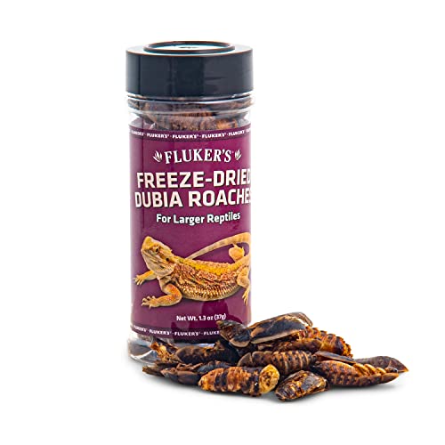Fluker's Freeze Dried Dubia Roaches, Ideal for Lizards, Reptiles, Birds, Fish, Hedgehogs, 1.7 oz