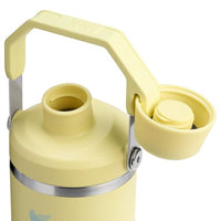 Thumbnail for Stanley IceFlow 2.0 Fast Flow Tumbler with Handle 30 oz | Twist On Angled Spout Lid | Leakproof Water Bottle | Insulated Stainless Steel | BPA-Free | Pomelo