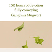 Thumbnail for I'm from Mugwort Gel Cleanser 150ml, Mugwort 60%, Calming, Soothing, Mild low pH Korean Face Wash for Sensitive Skin, Irritated Skin, Herbal, Hypoallergenic, Vegan