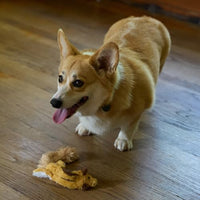 Thumbnail for SPOT Skinneeez Flying Squirrel 14 Inch Stuffing-Free Plush Squeaky Dog Toy – Soft Tug-of-War Toy for Small and Medium Dogs – Mess-Free Interactive Chew Toy for Moderate Chewers