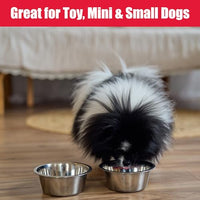 Thumbnail for SPOT Stainless Steel Mirror Finish Bowl, Durable Chew-Proof Food/Water Dish for Mini Dogs, Small Dogs, and Puppies, 2 Cups (16 oz) Capacity