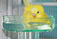 Thumbnail for Lixit Quick Lock Bird Cage Bath for Lovebirds, Canaries, Finches, Parakeets, and Cockatiels and Other Small to Medium Feathered Friends (Pack of 1)