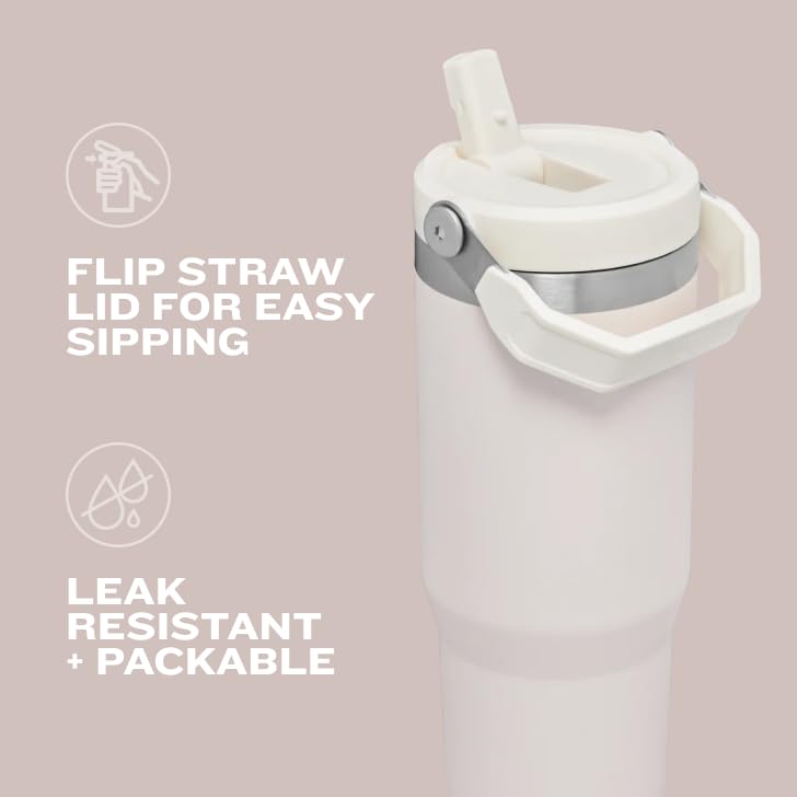 Stanley IceFlow Flip Straw Tumbler with Handle 30 oz | Twist On Lid and Flip Up Straw | Leak Resistant Water Bottle | Insulated Stainless Steel |BPA-Free | Lilac