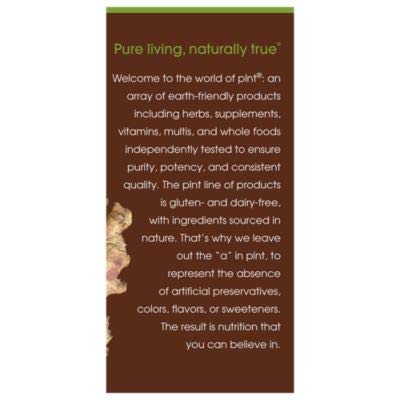 plnt Ginger (90 Vegetarian Capsules)
