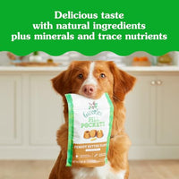 Thumbnail for Greenies Pill Pockets for Dogs Large Size, Dog Treat Pouch for Capsule Medication, Peanut Butter Flavor, (6) 7.9 oz. Pouches