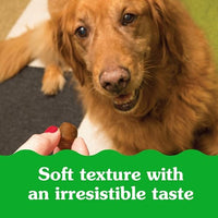 Thumbnail for Greenies Pill Pockets for Dogs Large Size, Dog Treat Pouch for Capsule Medication, Peanut Butter Flavor, 15.8 oz. Pouch