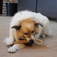 Thumbnail for SPOT Dura-Fused Leather Retriever Dog Toy – Real Leather & Jute Fabric, Double-Stitched & Durable, Squeaky Interactive Tug Toy with Rope Handle for Moderate Chewers, Soft Stuffed Fetch Toy, 15in