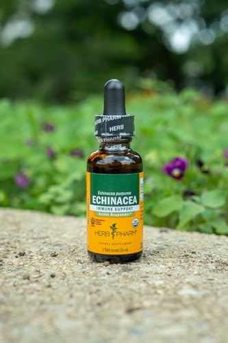 Herb Pharm Certified Organic Echinacea Root Liquid Extract for Immune System Support, Organic Cane Alcohol, 4 Ounce