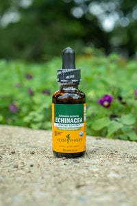 Thumbnail for Herb Pharm Certified Organic Echinacea Root Liquid Extract for Immune System Support, Organic Cane Alcohol, 4 Ounce