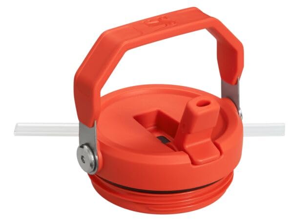 Stanley IceFlow Flip Straw Tumbler with Handle 30 oz | Twist On Lid and Flip Up Straw | Leak Resistant Water Bottle | Insulated Stainless Steel |BPA-Free | Plum