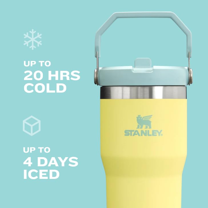 Stanley IceFlow Flip Straw Tumbler with Handle 30 oz | Twist On Lid and Flip Up Straw | Leak Resistant Water Bottle | Insulated Stainless Steel |BPA-Free | Tigerlily Plum