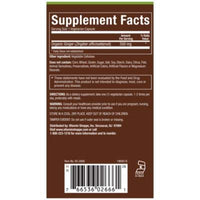 Thumbnail for plnt Ginger (90 Vegetarian Capsules)