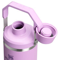 Thumbnail for Stanley IceFlow 2.0 Fast Flow Tumbler with Handle 30 oz | Twist On Angled Spout Lid | Leakproof Water Bottle | Insulated Stainless Steel | BPA-Free | Lilac