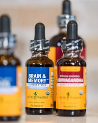 Thumbnail for Herb Pharm Organic Nootropic Brain & Memory Supplement with Ginkgo Biloba Liquid Extract: Fast Absorption for Mental Focus Support, Ginkgo Supplement, Vegan, Gluten-Free, Non-GMO, 1 Oz