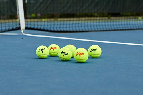 Penn Championship Tennis Balls - Regular Duty Felt Pressurized Tennis Balls - 1 Can, 3 Balls