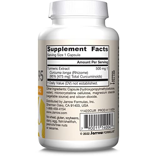 Jarrow Formulas Curcumin 95 Supplement - Turmeric Extract Supplement, 500 mg for Antioxidant & Joint Support, 60 Capsules