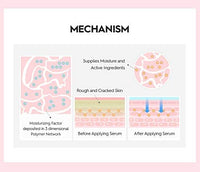 Thumbnail for [K Beauty Snp] 4-in-1 Peptaronic Skincare Set | Peptide and Hyaluronic Acid Complete Skin Care Set | Includes Facial Toner, Cream, Face Serum, and Ampoule Sheet Face Masks | Skin Care Gift Set of 1