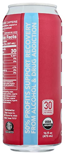 Clean Cause, Yerba Mate Energy Drink, Raspberry, 16 oz (Pack of 2)