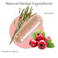 Thumbnail for Kroeger Herb, Circu Flow, Holistic Heart Supplement and Circulation Health with Hawthorn Berry, Daily Circulation Supplement for Vascular Support with Hawthorn, Non-GMO, 270 Capsules, Made in USA