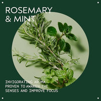 Thumbnail for Image 4 of AVEDA Rosemary Mint Purifying Shampoo 10.1 fl oz