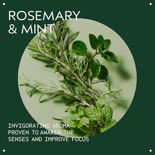 Image 4 of AVEDA Aveda Rosemary Mint Hand & Body Wash