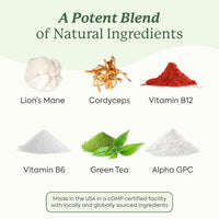 Thumbnail for Image 3 of Plant People WonderFocus Mushroom Gummies with Lion’s Mane & Cordyceps 60ct