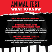 Thumbnail for Image 2 of Animal Test Testosterone Booster Supplement for Men | 21 Day Pill Packs