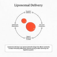 Thumbnail for Image 4 of CYMBIOTIKA Liposomal Vitamin B12 1250mcg for Energy & Hair Support