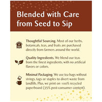 Thumbnail for Image 4 of Celestial Seasonings Herbal Tea Fireside Vanilla Spice 20 Tea Bags Pack of 6