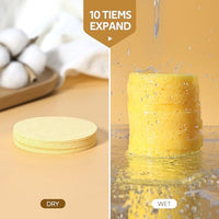 Thumbnail for Image 6 of GAINWELL Compressed Facial Sponges with Storage Container