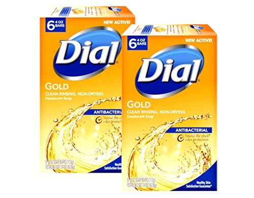Image 1 of 24 Ounce (Pack of 2) for the product Dial Gold Antibacterial Soap Bar