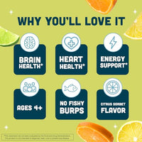 Thumbnail for Image 3 of Barlean's Citrus Sorbet Omega-3 Fish Oil, 16oz