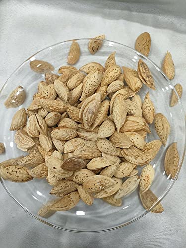 Image 8 of Generic Premium Almonds Paper Shell Almonds