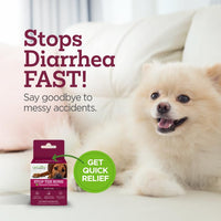 Thumbnail for Vetality Stop The Runs | Dog Anti Diarrhea Medicine | 6 Count Chewable | Chicken Flavor