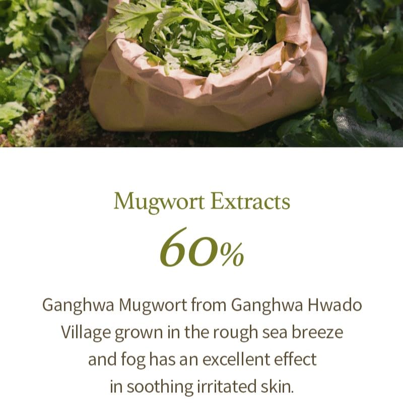 I'm from Mugwort Gel Cleanser 150ml, Mugwort 60%, Calming, Soothing, Mild low pH Korean Face Wash for Sensitive Skin, Irritated Skin, Herbal, Hypoallergenic, Vegan