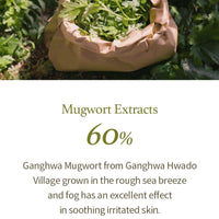 Thumbnail for I'm from Mugwort Gel Cleanser 150ml, Mugwort 60%, Calming, Soothing, Mild low pH Korean Face Wash for Sensitive Skin, Irritated Skin, Herbal, Hypoallergenic, Vegan