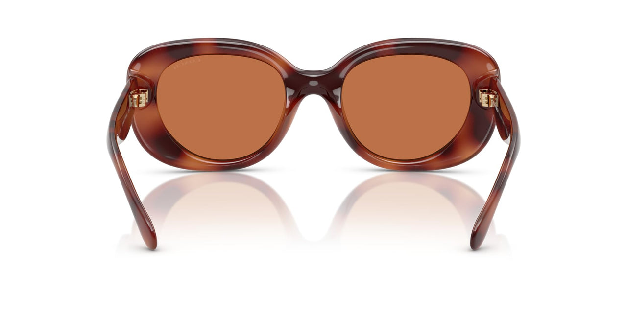 COACH Women's HC8391U Sculpted C Hardware Universal Fit Oval Sunglasses, Caramel Tortoise/Brown Solid, 53 mm
