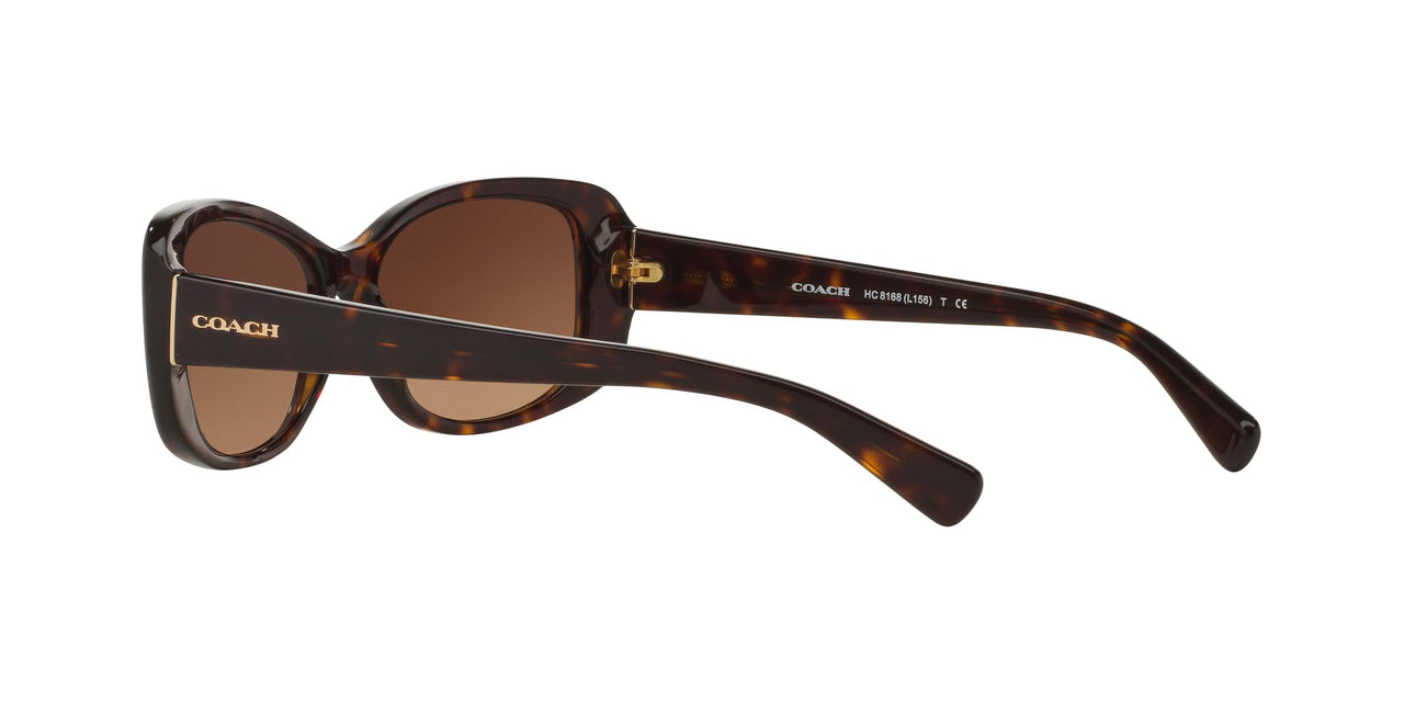 Coach HC8168 Sunglasses, Dark Tortoise/Brown Gradient, 56 mm