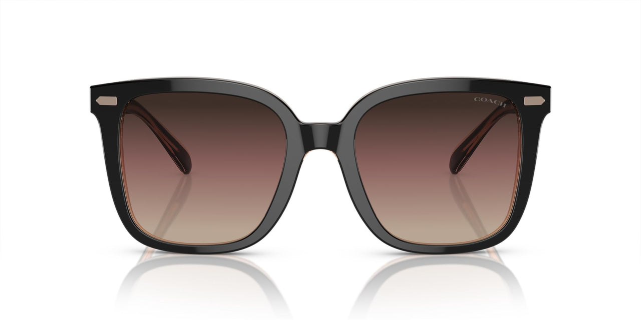 Coach HC8381F Low Bridge Fit Sunglasses, Black/Transparent Blush/Brown Purple Grey Gradient, 56 mm