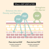 Thumbnail for Haruharu Wonder Black Rice Botanical 2GF Ampoule 1 fl.oz / 30ml | Facial Serum, EGF Serum, Anti-Aging Serum, Wrinkle Care | Cruelty Free, EWG-Green